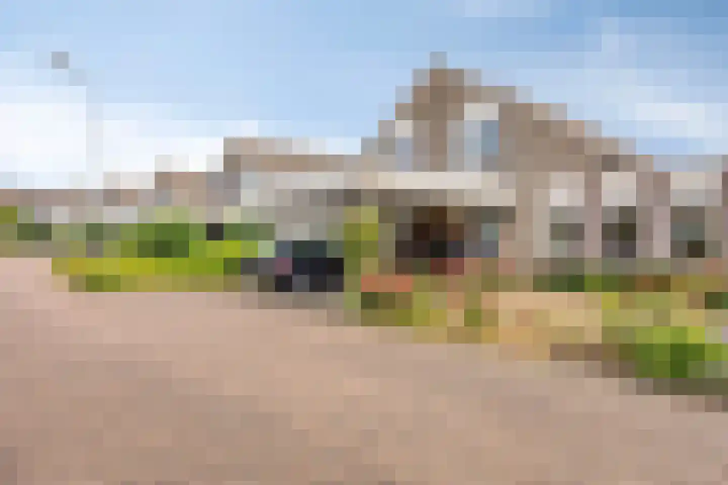 Stekelzegge 15 Duiven thumbnail 23
