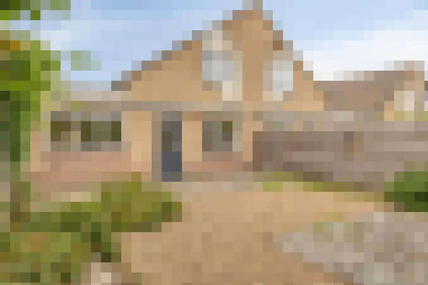 Stekelzegge 15 Duiven thumbnail 28