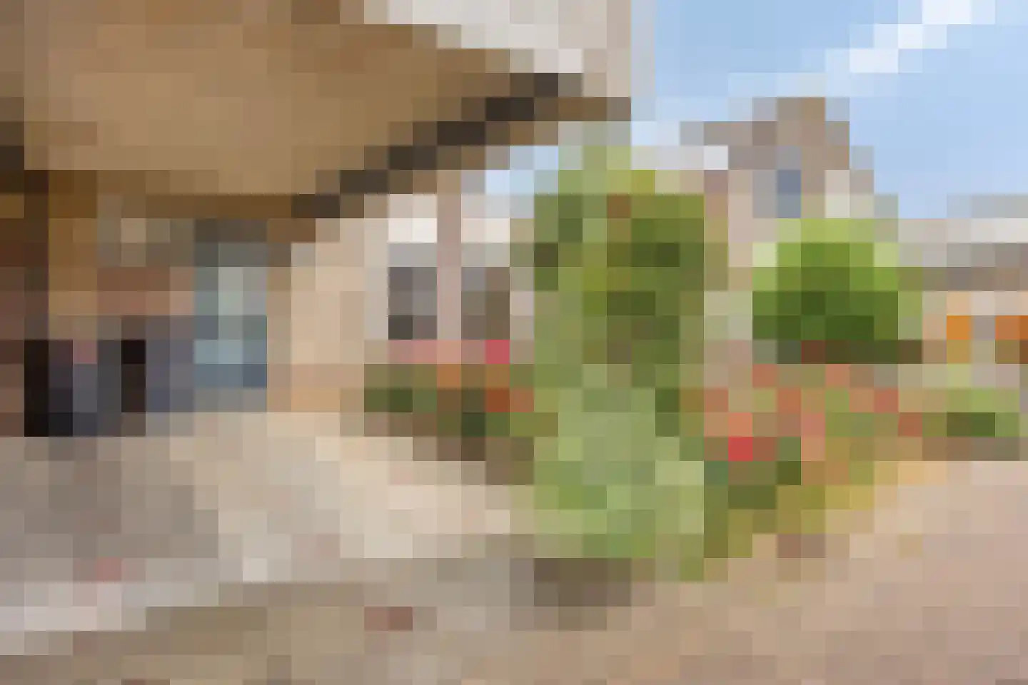 Stekelzegge 15 Duiven thumbnail 30