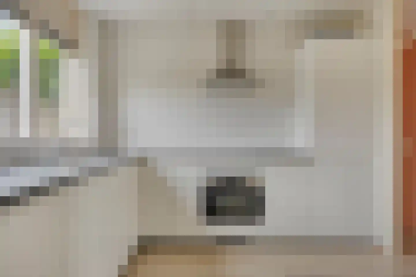 Stekelzegge 15 Duiven thumbnail 4