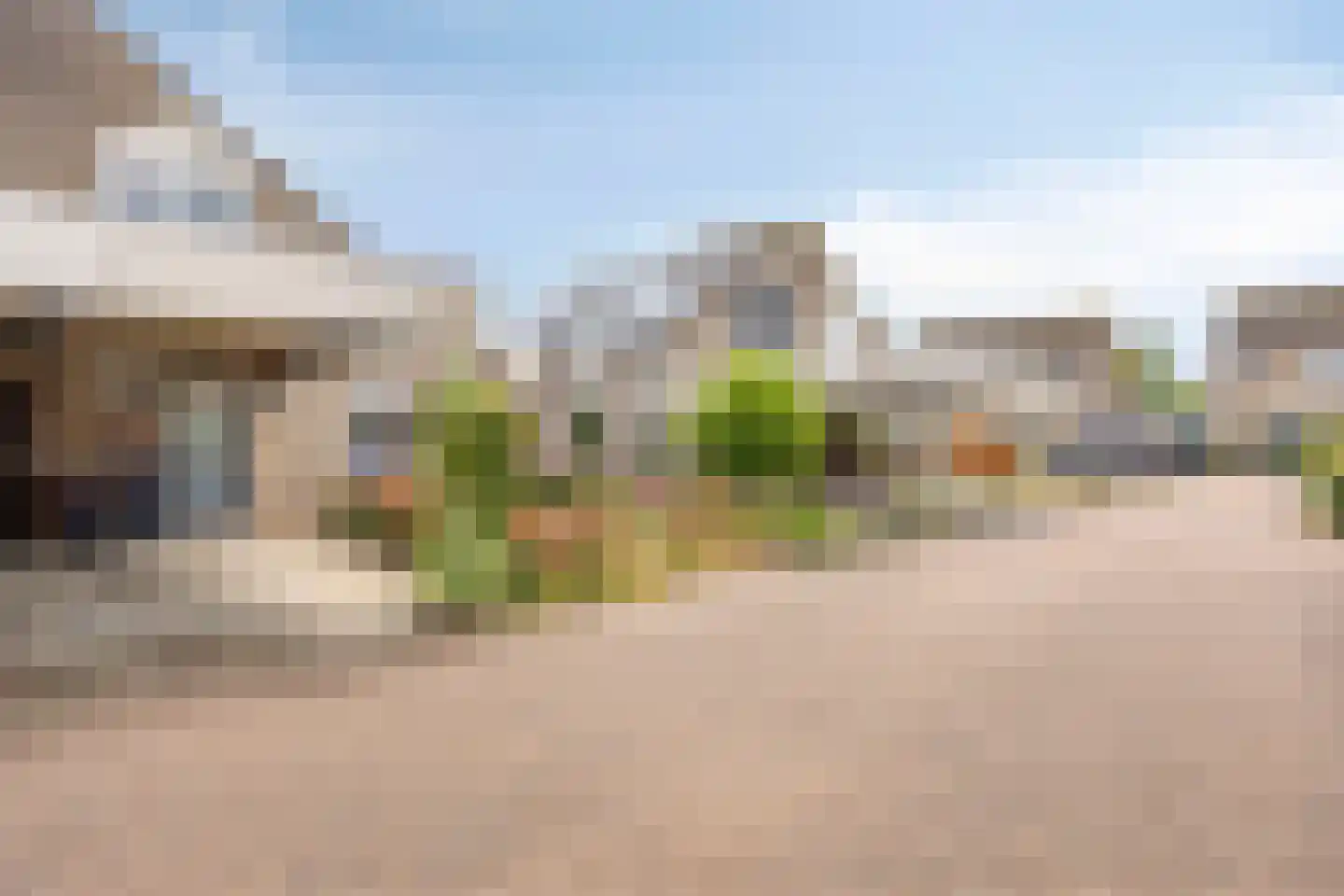 Stekelzegge 15 Duiven thumbnail 6