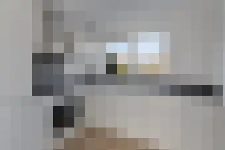 Stekelzegge 2 Duiven thumbnail 11