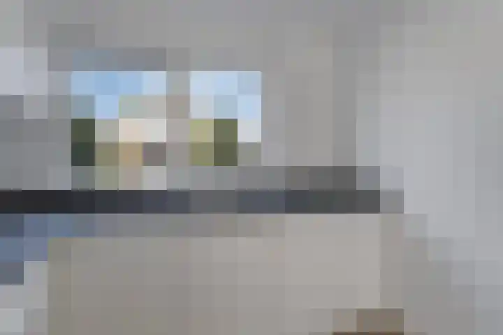 Stekelzegge 2 Duiven thumbnail 13