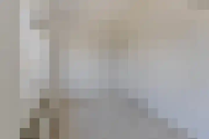 Stekelzegge 2 Duiven thumbnail 18