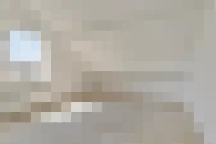 Stekelzegge 2 Duiven thumbnail 19