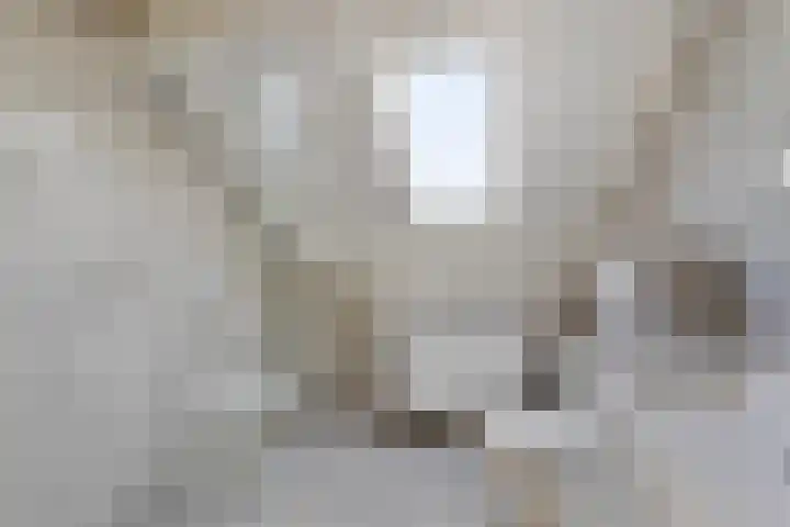 Stekelzegge 2 Duiven thumbnail 21