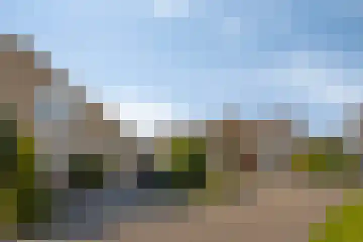 Stekelzegge 2 Duiven thumbnail 28
