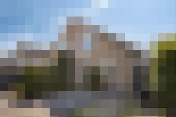 Stekelzegge 2 Duiven thumbnail 29