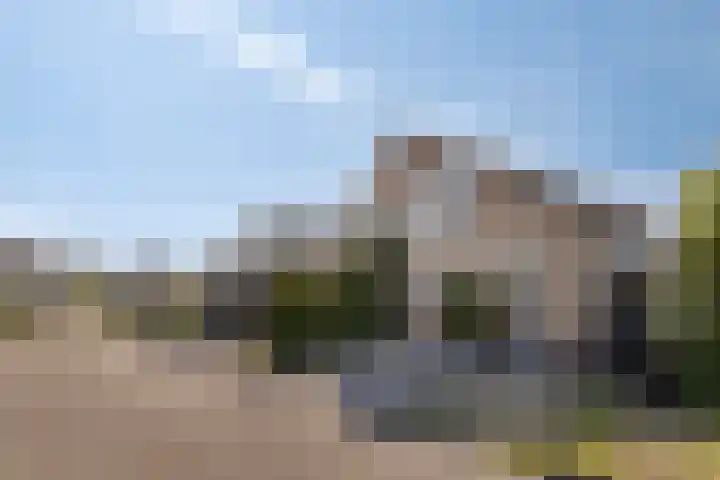 Stekelzegge 2 Duiven thumbnail 32