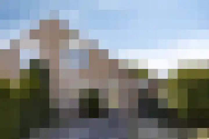 Stekelzegge 2 Duiven thumbnail 5