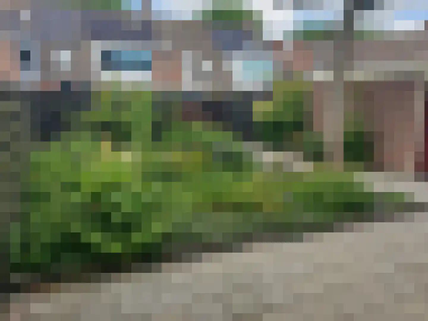 Steker 14 Enkhuizen thumbnail 17