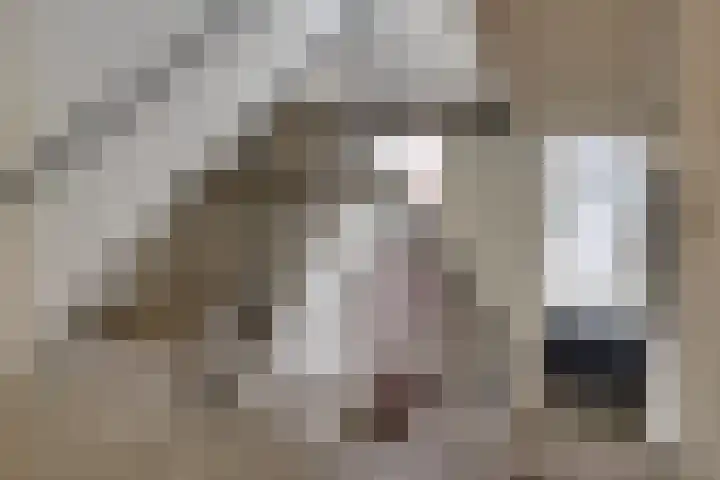 Steker 3 Enkhuizen thumbnail 13