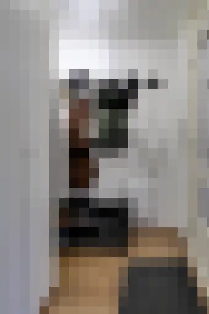 Steker 3 Enkhuizen thumbnail 14
