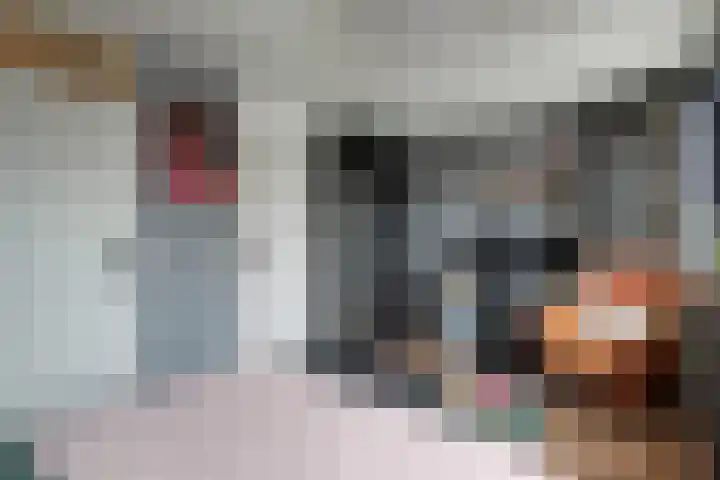 Steker 3 Enkhuizen thumbnail 26