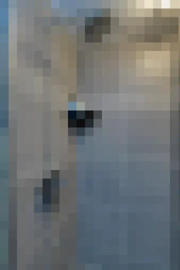 Steker 3 Enkhuizen thumbnail 29