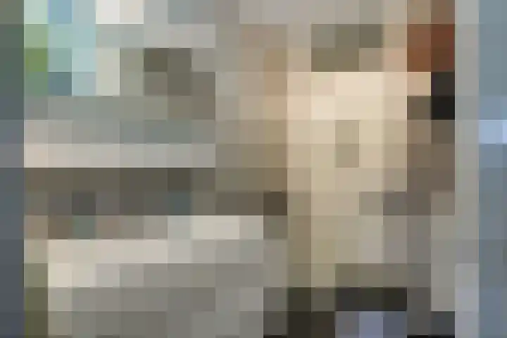 Steker 3 Enkhuizen thumbnail 4
