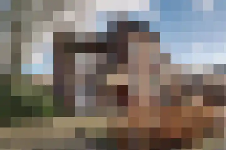 Steker 3 Enkhuizen thumbnail 5