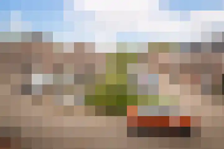 Steker 37 Enkhuizen thumbnail 26