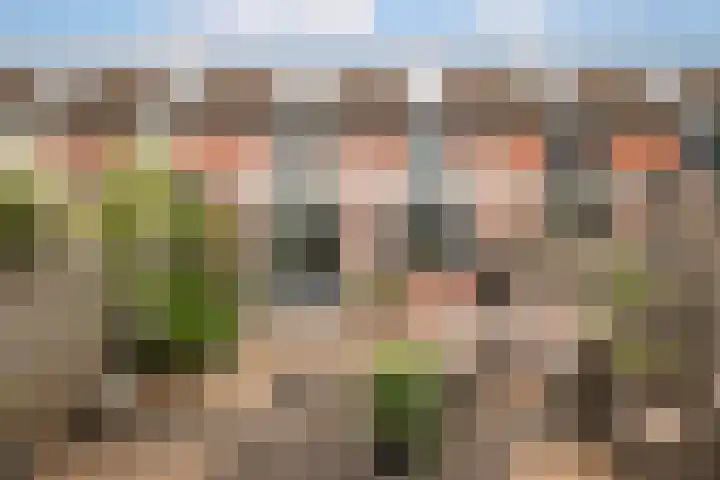 Steker 37 Enkhuizen thumbnail 30