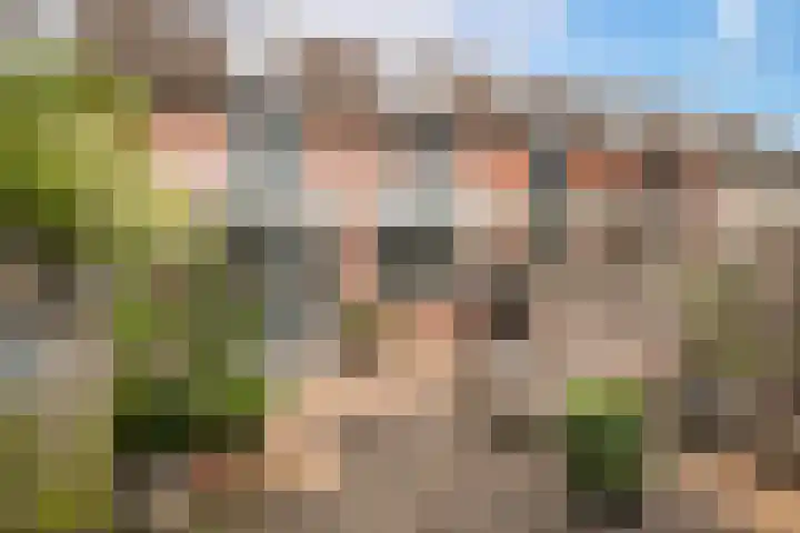 Steker 37 Enkhuizen thumbnail 31