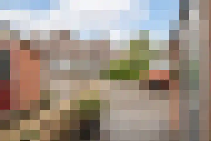 Steker 37 Enkhuizen thumbnail 33