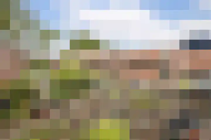 Steker 37 Enkhuizen thumbnail 34