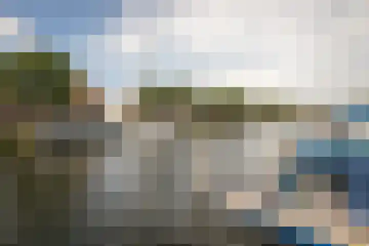 Steker 37 Enkhuizen thumbnail 39