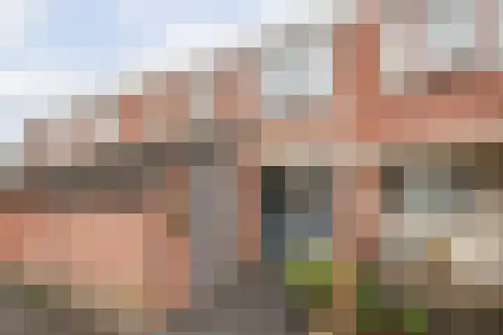 Steker 37 Enkhuizen thumbnail 57