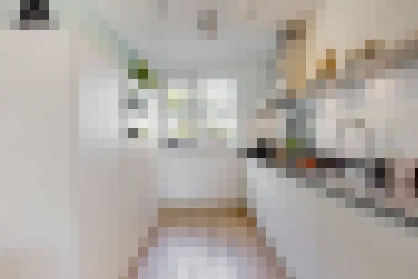 Stekkaspad 13 Utrecht thumbnail 11