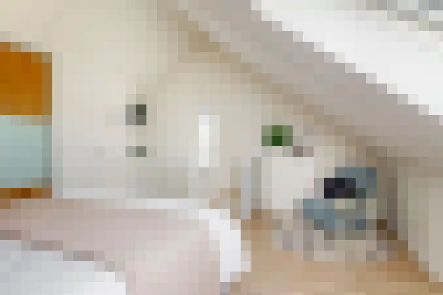 Stekkaspad 13 Utrecht thumbnail 20