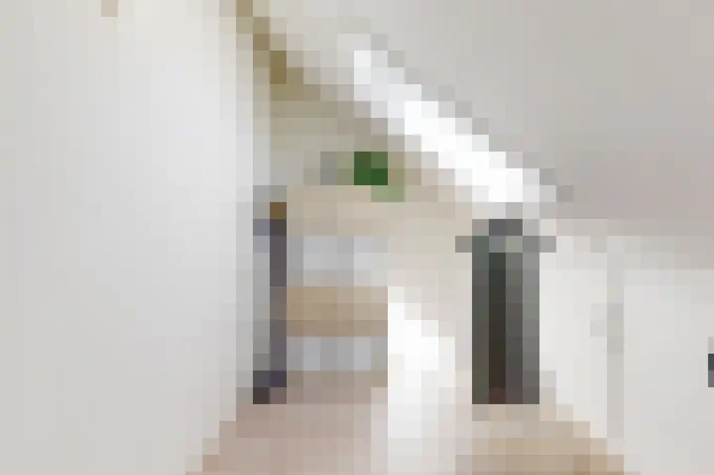 Stekkaspad 13 Utrecht thumbnail 21