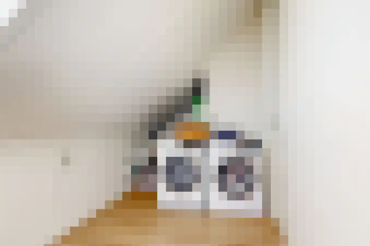 Stekkaspad 13 Utrecht thumbnail 22