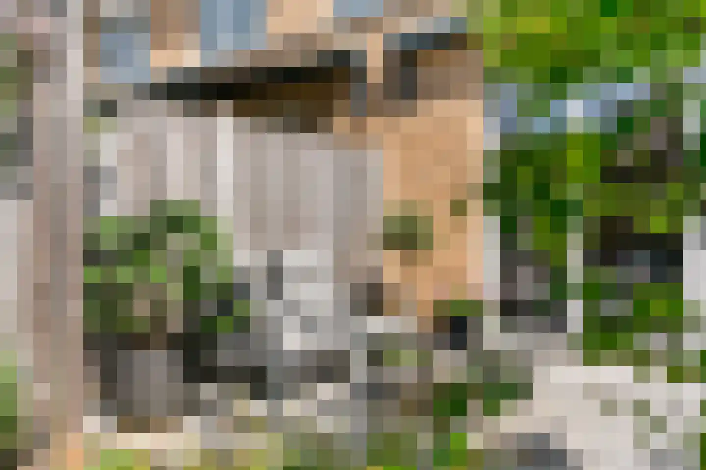 Stekkaspad 13 Utrecht thumbnail 27