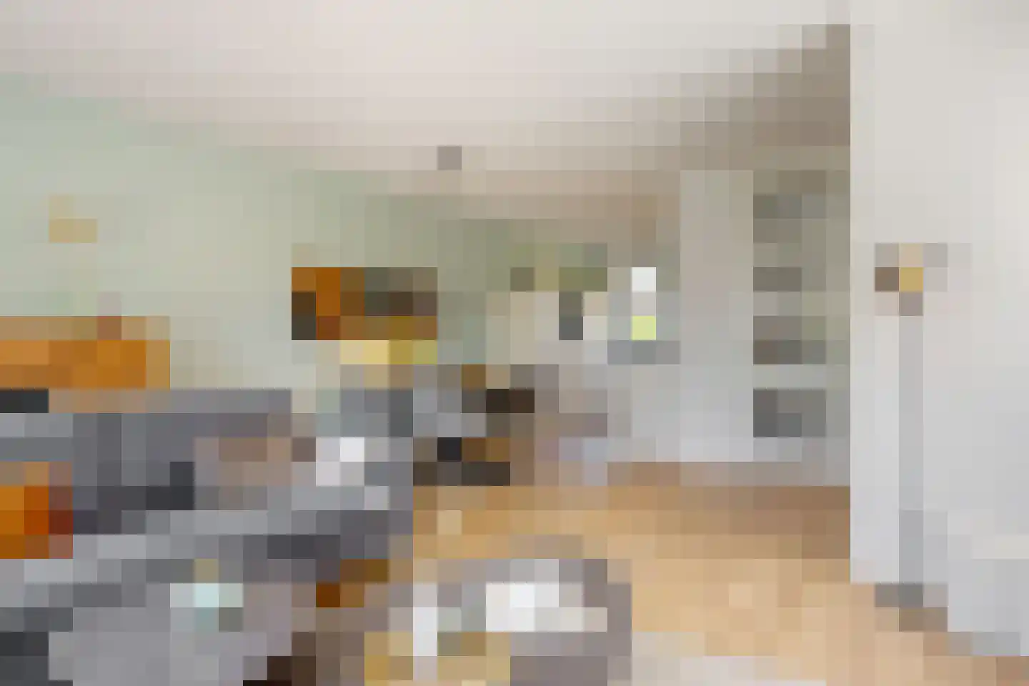 Stekkaspad 13 Utrecht thumbnail 8