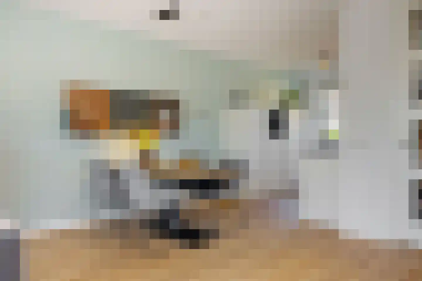 Stekkaspad 13 Utrecht thumbnail 9
