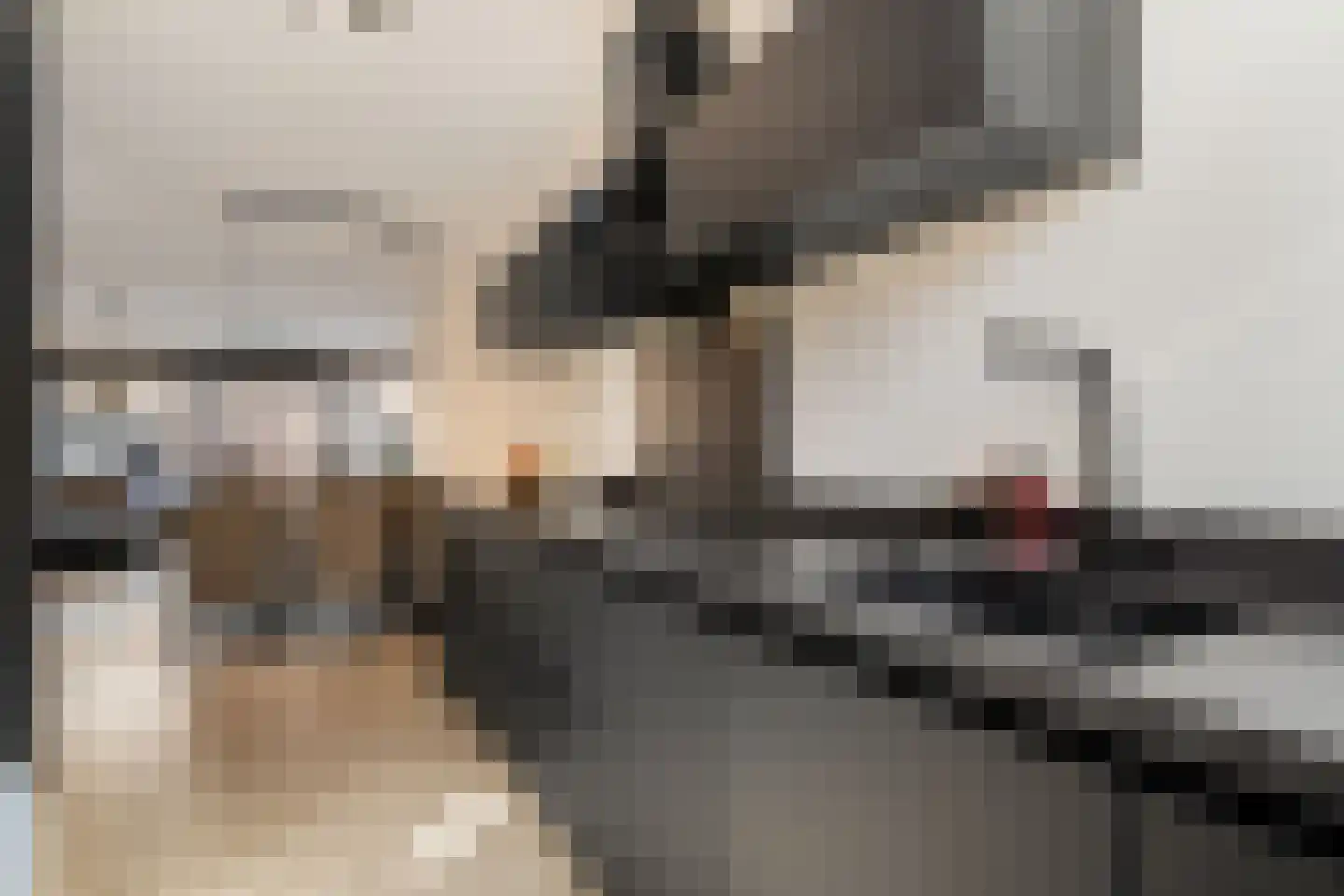 Stekkaspad 9 Utrecht thumbnail 10