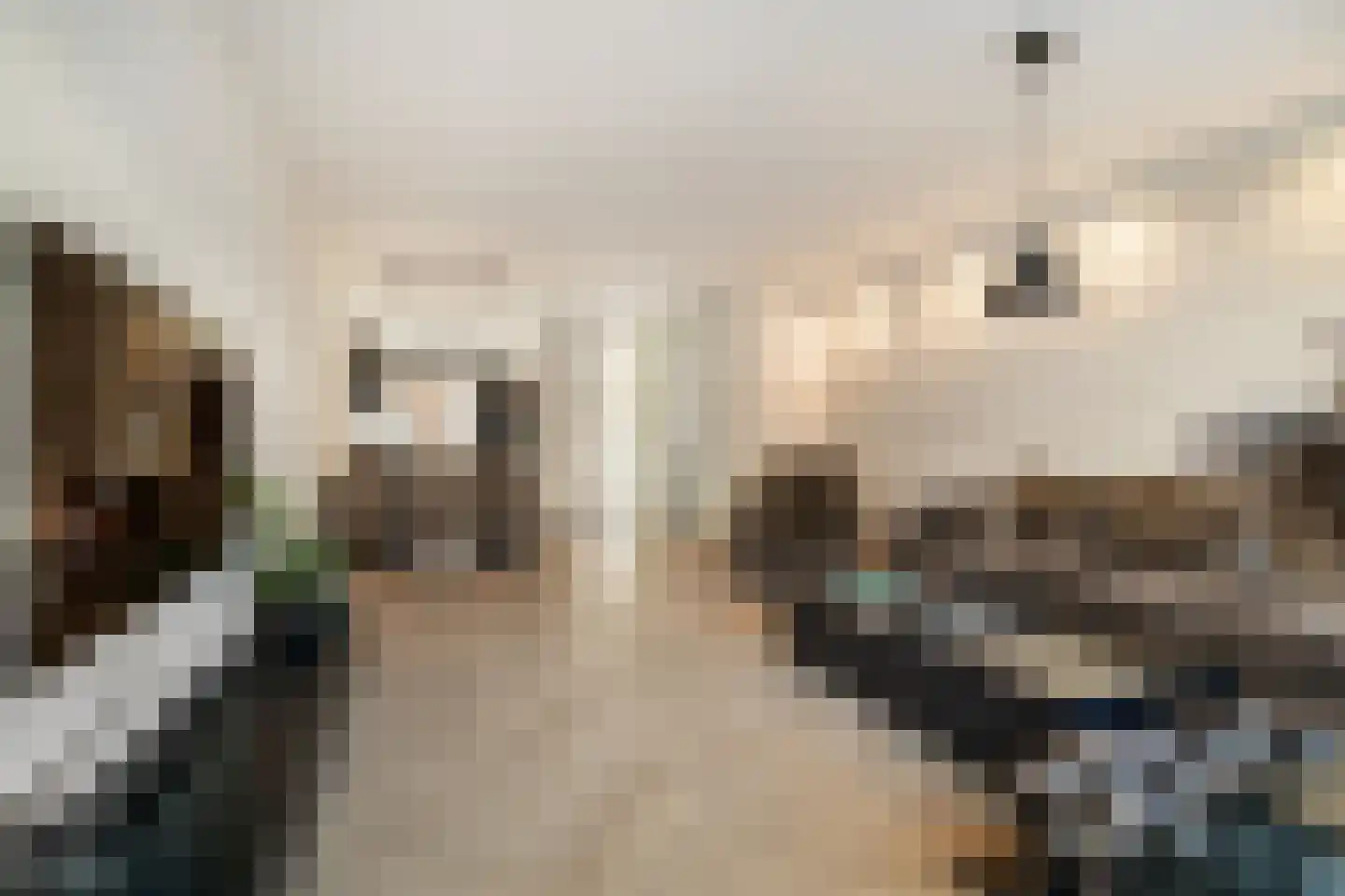 Stekkaspad 9 Utrecht thumbnail 14