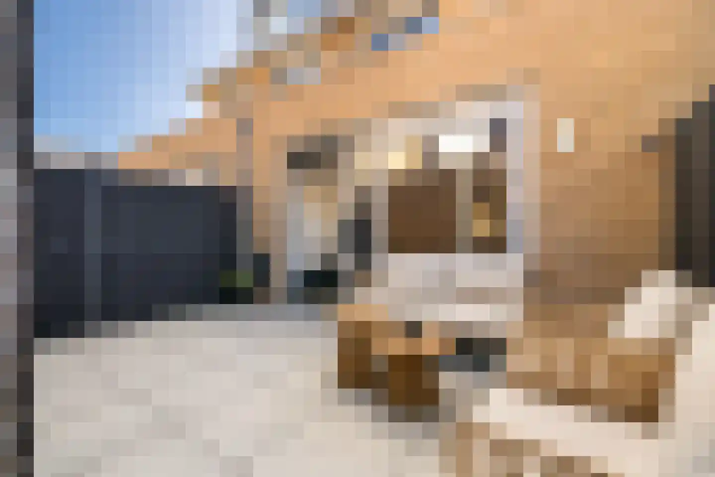 Stekkaspad 9 Utrecht thumbnail 16