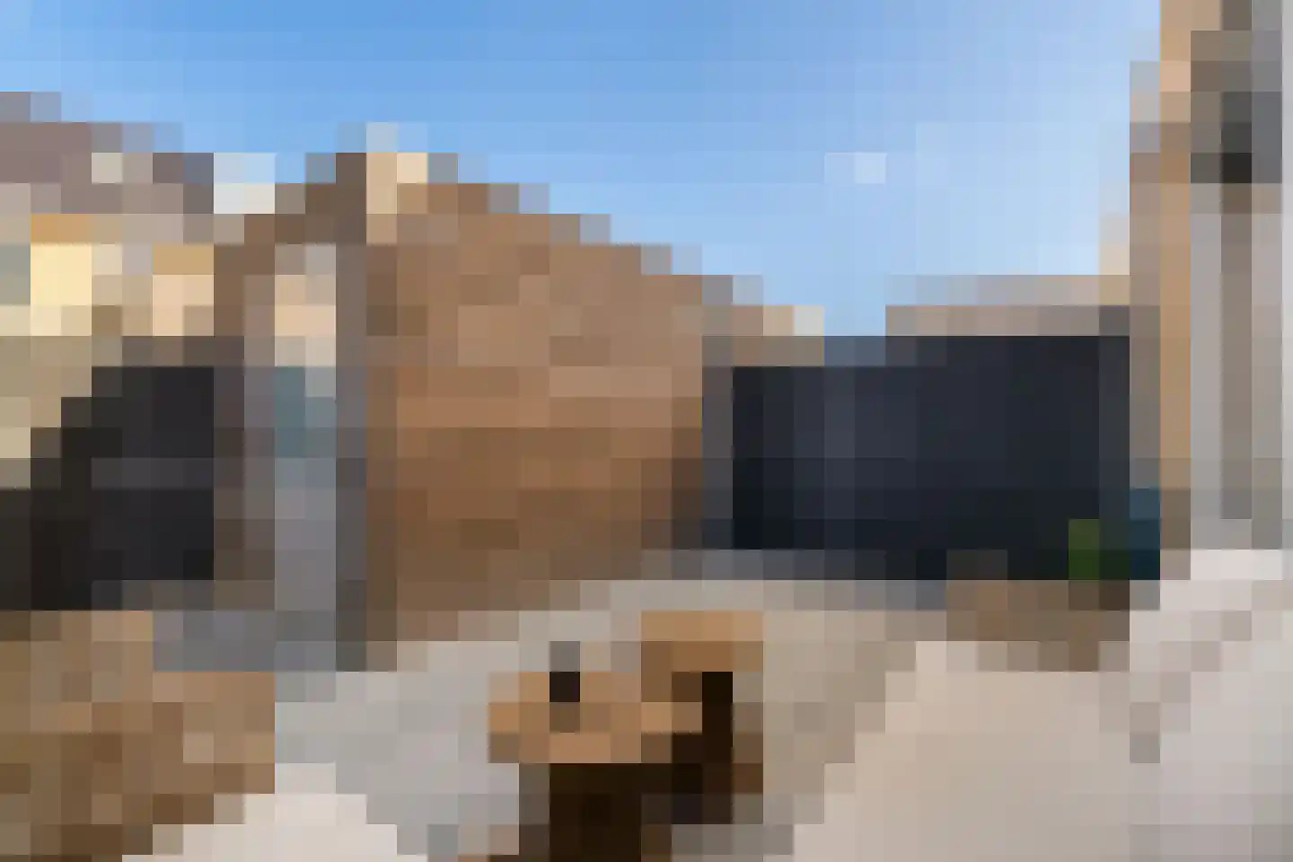 Stekkaspad 9 Utrecht thumbnail 17
