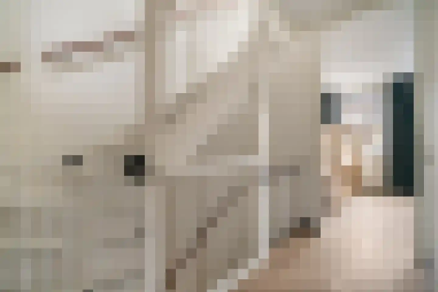 Stekkaspad 9 Utrecht thumbnail 18
