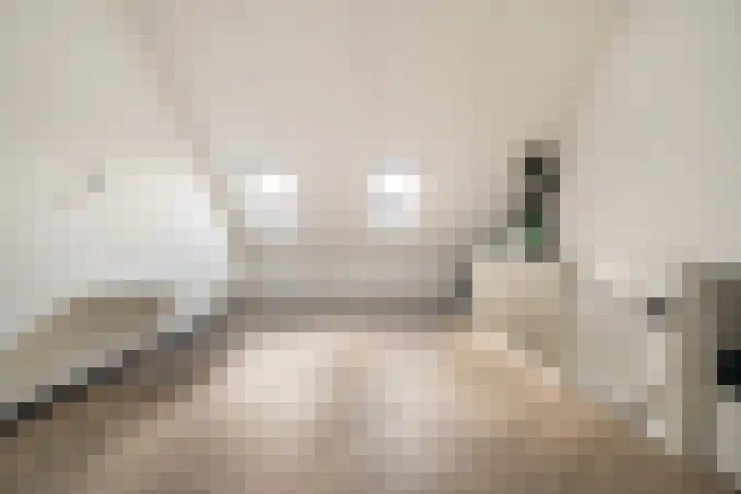 Stekkaspad 9 Utrecht thumbnail 29