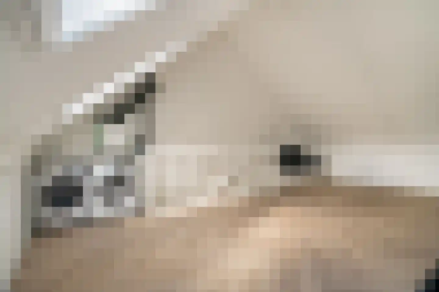 Stekkaspad 9 Utrecht thumbnail 31