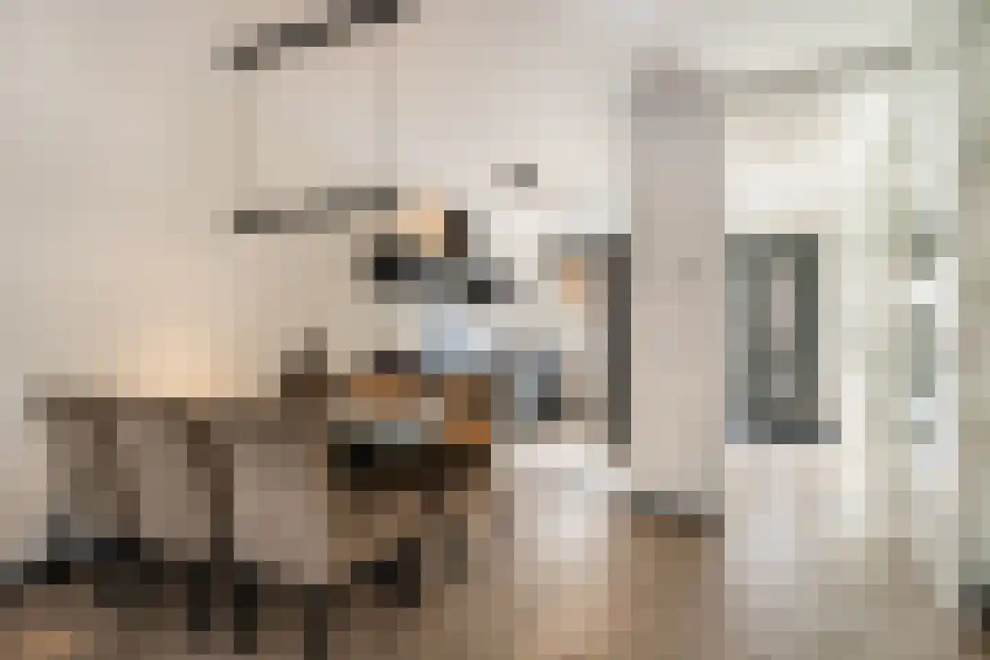 Stekkaspad 9 Utrecht thumbnail 7