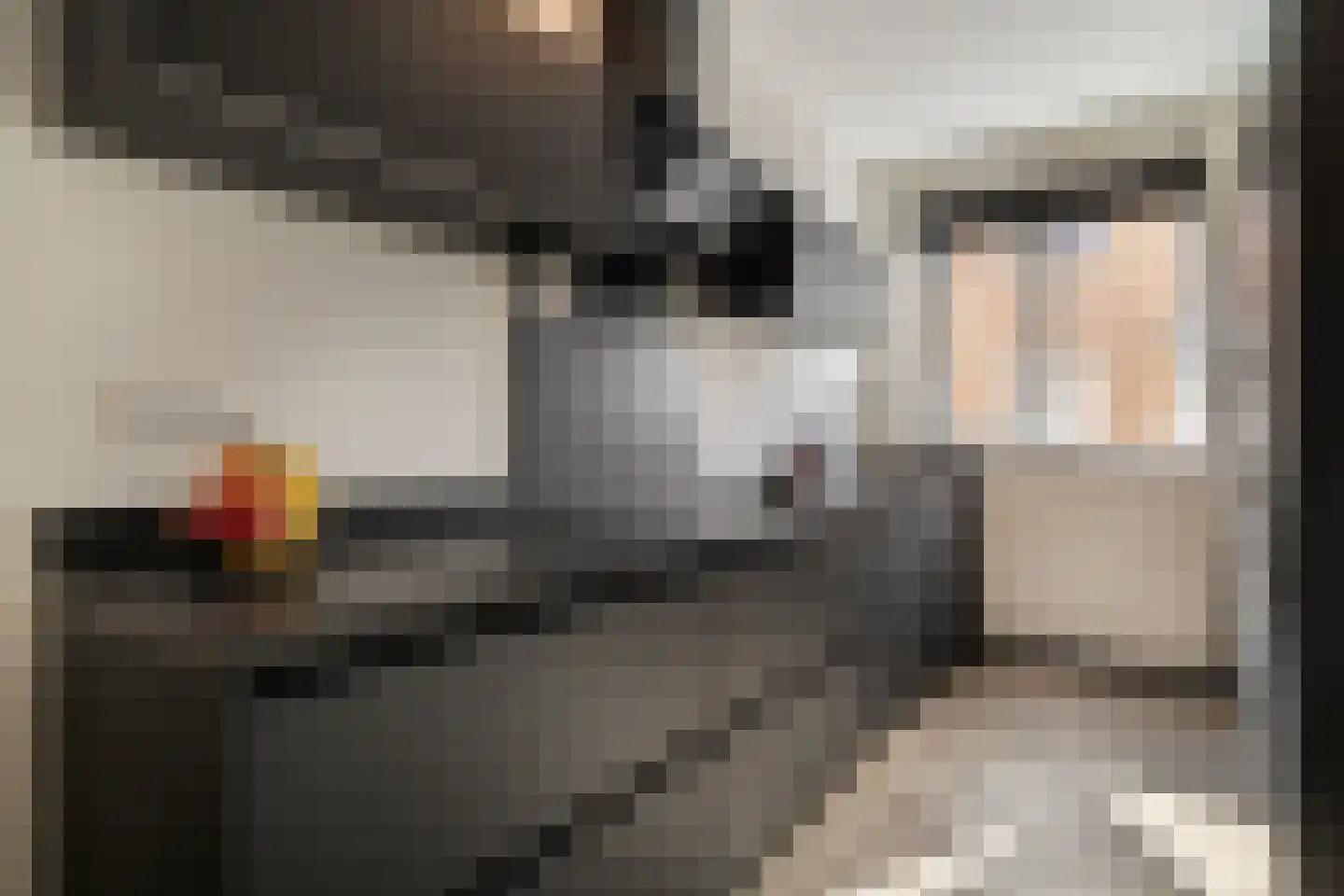 Stekkaspad 9 Utrecht thumbnail 8