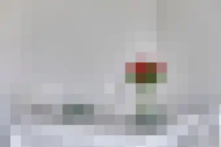Stekkenberg 3 Groesbeek thumbnail 11
