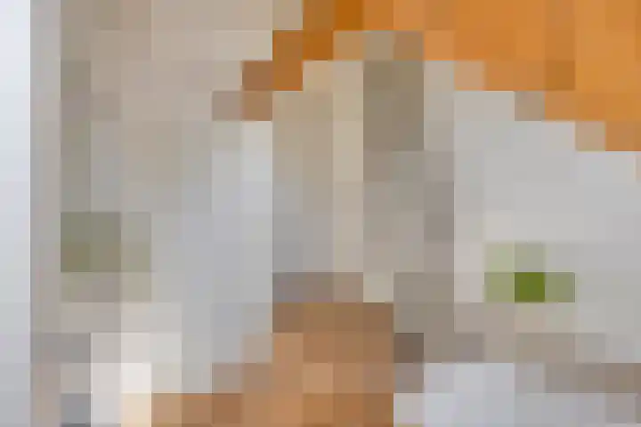 Stekkenberg 3 Groesbeek thumbnail 48