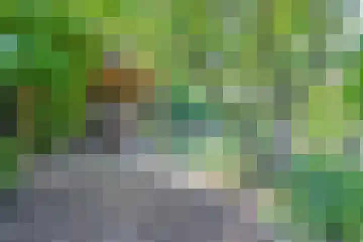 Stekkenberg 3 Groesbeek thumbnail 60