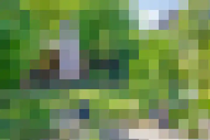 Stekkenberg 3 Groesbeek thumbnail 62