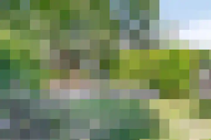 Stekkenberg 3 Groesbeek thumbnail 66