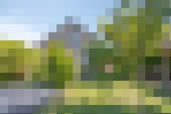 Stekkenberg 3 Groesbeek thumbnail 67